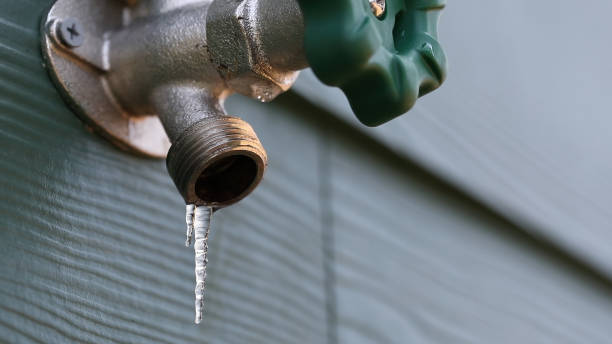 Best Sewer Line Repair  in Quincy, MA